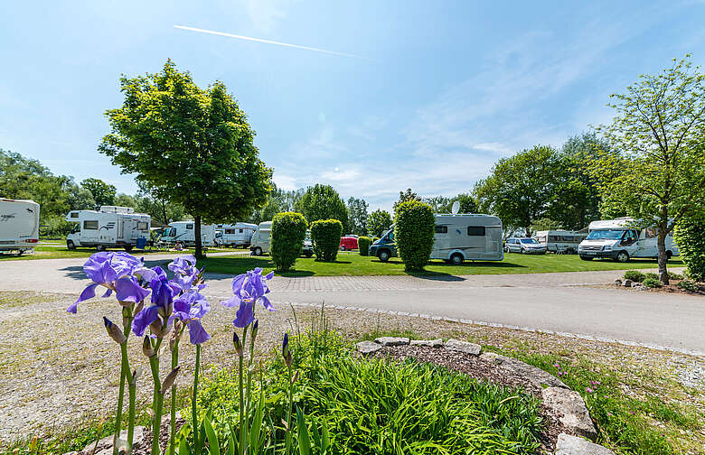 Stadt Friedrichshafen: Camping & Wohnmobilstellplatz