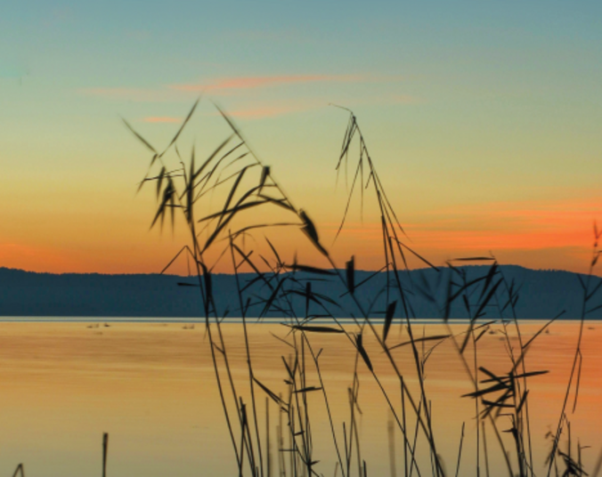 Orangefarbener Himmel über einem ruhigen See mit hügeliger Landschaft am anderen Ufer. Im Vordergrund rechts einzelne Schilfgräser.