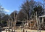 Holzkletterdrache (Foto: Stadt Friedrichshafen)
