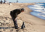Mittwoch, 06.08.2025, 21.30 Uhr: Der Pinguin meines Lebens (Bild: TOBIS Film)