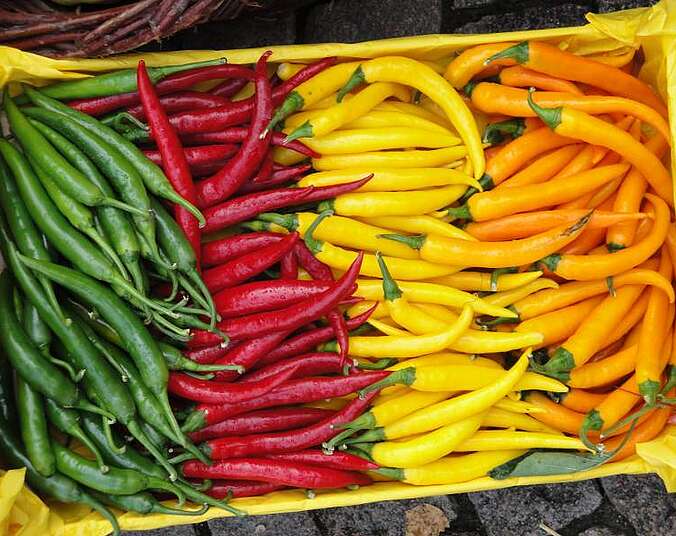 verschiedene Chillis
