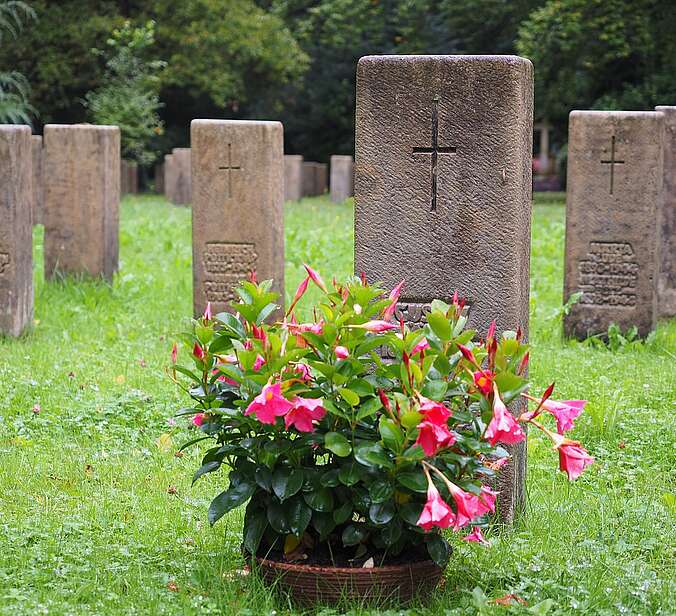 Gräberfeld mit Blumenschale auf dem Friedhof
