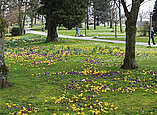 Stadtgrün Uferpark