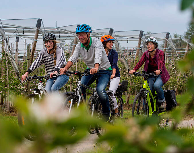 Vier Radler fahren durch Obstplantage
