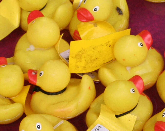 Viele Gummi Enten , Badeenten