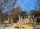Holzkletterdrache (Foto: Stadt Friedrichshafen)