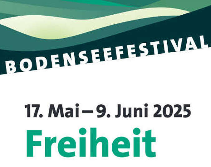 Titelbild des Bodenseefrestivals: Wellen, Berge mit Vögeln.
