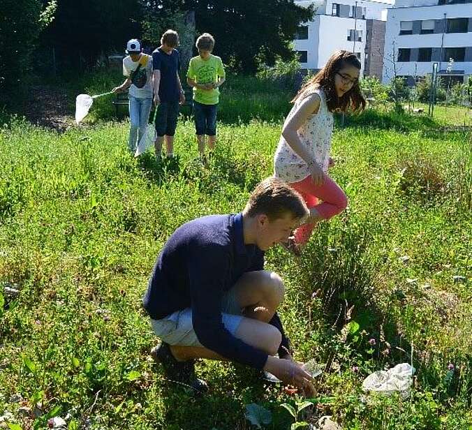 Wiesenexkursion