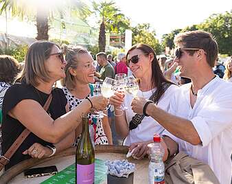 Impressionen Seehaenfest