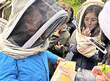 Die Gruppe aus der Gemeinschaftsschule Graf Soden untersucht die Wärmeisolierung für Bienen.