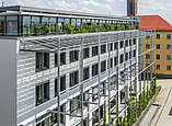 Nachher: begrünte Südfassade des Technischen Rathauses (Aufnahme aus dem Jahr 2024, Foto: Guido Kasper)