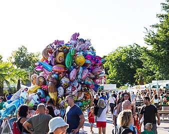 Impressionen Seehaenfest