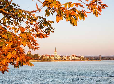 Ast mit buntgefärbten Blättern und im Hintergrund der Bodensee und die Stadtansicht von Friedrichshafen