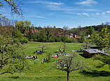 Blick in die Natur, Menschen grillen im Hintergrund