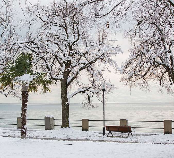 Winterlicher Uferweg