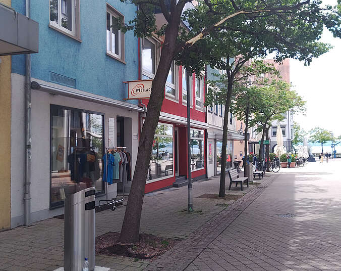 Schief stehender Baum am Straßenrand