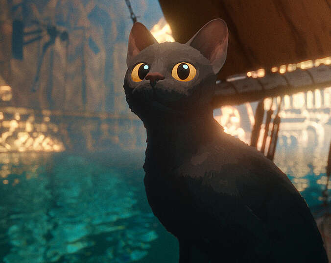 Katze (Bild: DIE FILMAGENTINNEN)