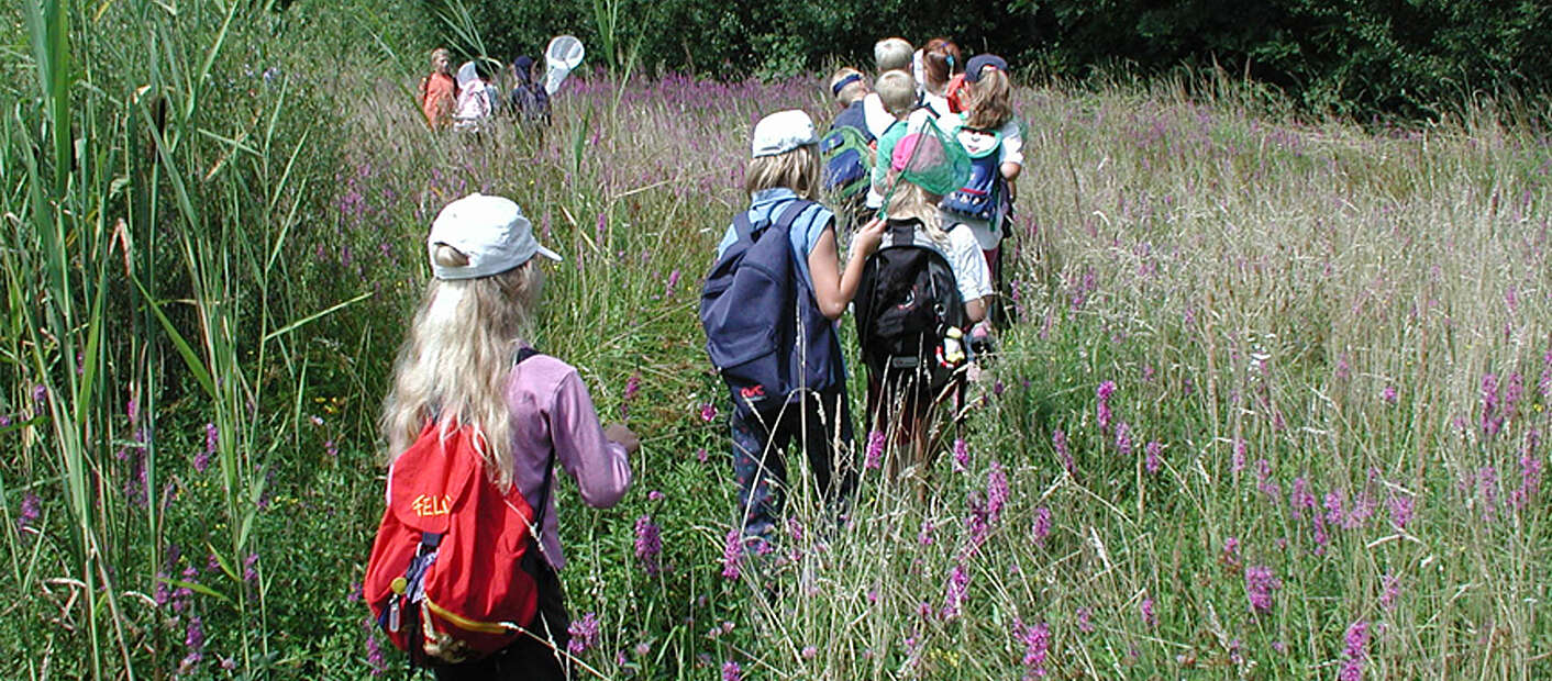 Kinder wandern im hohen Gras