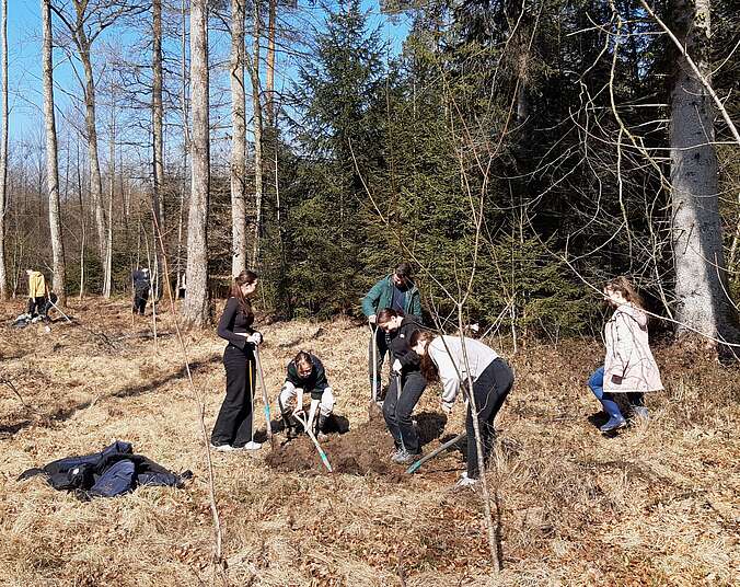 Jugendliche graben Laichplätze im Wald