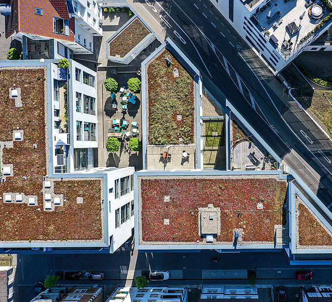 Haus mit Dachbegrünung und begrüntem Innenhof von oben