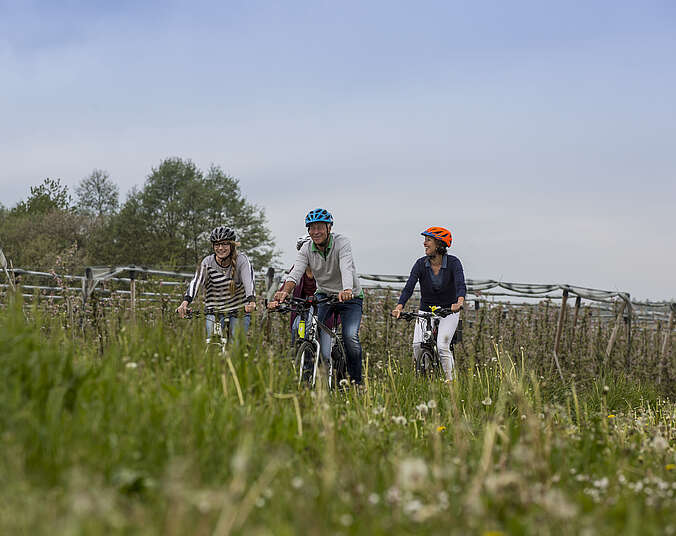 Männer und Frauen auf Rädern radlen durch Wiesen und Felder