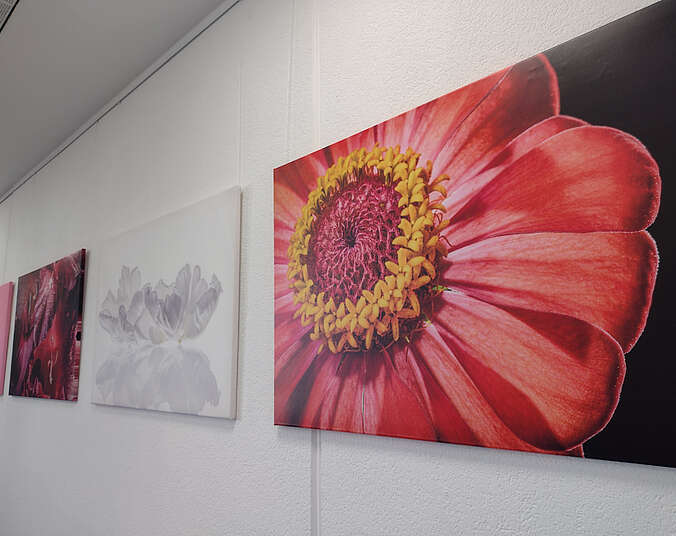 Kraftblüten (Foto: Sabine Kunzer)