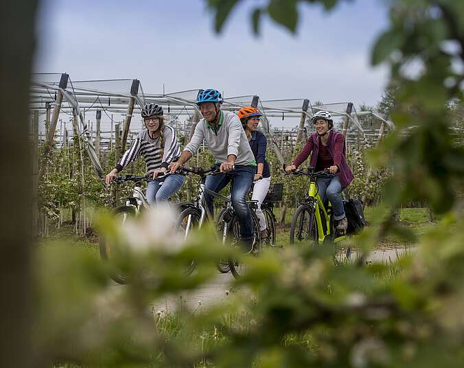 Drei Fahrradfahrer fahren zwischen Obstplantagen