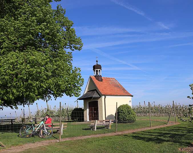 Blick auf die Kapelle Maria Königin des Friedens auf der Brünnensweiler Höhe in Tettnang